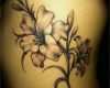 Edelweiss Tattoo Vorlage Cool Tattoo Design Ideas Flower Tattoos Flower Tattoos and