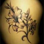 Edelweiss Tattoo Vorlage Cool Tattoo Design Ideas Flower Tattoos Flower Tattoos and