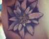 Edelweiss Tattoo Vorlage Einzigartig 39 Best Images About Edelweiss On Pinterest