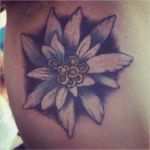 Edelweiss Tattoo Vorlage Einzigartig 39 Best Images About Edelweiss On Pinterest
