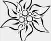 Edelweiss Tattoo Vorlage Einzigartig Edelweis Colouring Pages