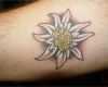Edelweiss Tattoo Vorlage Großartig Edelweiss Tattoo Picture