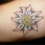 Edelweiss Tattoo Vorlage Großartig Edelweiss Tattoo Picture