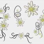 Edelweiss Tattoo Vorlage Gut 100 Nailtattoos ornamente &quot;edelweiß&quot; 5 Motive Pintoras Shop