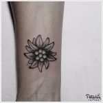 Edelweiss Tattoo Vorlage Inspiration Edelweiss Edelweiss Pinterest