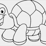 Einfache HTML Seite Vorlage Bewundernswert Tiere Seite 1