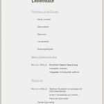 Einfacher Businessplan Vorlage Kostenlos Elegant Lebenslauf Muster 2016 Für Bewerbung Bildungsbibel