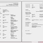 Einfacher Lebenslauf Vorlage Word Angenehm atemberaubend Einfache Lebenslauf Vorlage Galerie