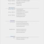 Einfacher Lebenslauf Vorlage Word Erstaunlich Gratis Lebenslaufmuster