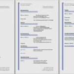 Einfacher Lebenslauf Vorlage Word Fabelhaft 13 Vorlagen Kostenlose Lebenslauf Vorlagen Word Einfacher