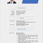 Einfacher Lebenslauf Vorlage Word Fabelhaft Gratis Lebenslaufmuster