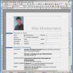 Einfacher Lebenslauf Vorlage Word Gut Einfacher Lebenslauf Vorlage Word – Various Vorlagen