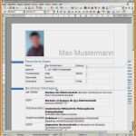 Einfacher Lebenslauf Vorlage Word Inspiration 13 Perfekt Kostenlose Lebenslauf Vorlagen Word Einfacher