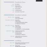 Einfacher Lebenslauf Vorlage Word Luxus 19 Einfacher Lebenslauf Schrüler