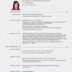 Einfacher Lebenslauf Vorlage Word Wunderbar 13 Beispiel Europäischer Lebenslauf Muster Word Einfacher