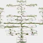 Einfacher Stammbaum Vorlage Erstaunlich Suhrsoft Individualsoftware Und Genealogieprogramme