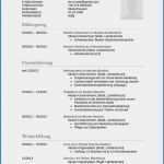 Einfaches Bewerbungsanschreiben Vorlage Cool 11 Cv Englisch Muster