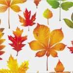 Einladung Herbstfest Vorlage Hübsch Herbstlaub Vektor 1