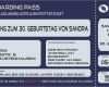 Einladung Kindergeburtstag Junge Vorlage Erstaunlich Flugticket Vorlage