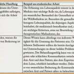 Einleitung Fragebogen Vorlage Bewundernswert 10 Einleitung Projektarbeit Muster
