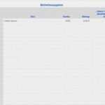 Einnahme überschuss Rechnung Vorlage Neu Numbers Vorlage Einnahmen Überschuss Rechnung 2014 Ohne