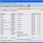 Einnahmen Ausgaben Rechnung Vorlage Privat Erstaunlich Einnahmen Ausgaben Tabelle Vorlage