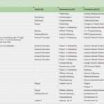 Einnahmen Ausgaben Tabelle Vorlage Süß Einnahmen Und Ausgaben Eingeben – Ea Tabelle