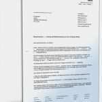 Einspruch Gegen Strafbefehl Vorlage Luxus Einspruch Gegen Steuerbescheid Und Antrag Auf