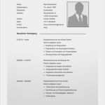 Einsteckschilder Für Hängemappen Vorlage Word Einzigartig Lebenslauf Vorlage 16 Professionelles Bewerbungsdesign Word