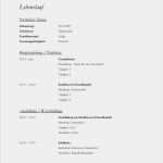 Einsteckschilder Für Hängemappen Vorlage Word Hübsch Bewerbung Reinigungskraft Kostenlose Muster Vorlagen