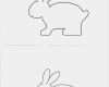 Einstellungstest Draht Biegen Vorlage Beste Dieser Hase ist Auf Draht – Oder – My First Easter Bunny
