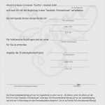 Einverständniserklärung Datenschutz Vorlage Großartig Einverständniserklärung Urlaub Unter 18 Vorlage Fabelhaft