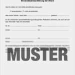 Einverständniserklärung Dsgvo Vorlage Erstaunlich Großzügig Einverständniserklärung Vorlage Zeitgenössisch
