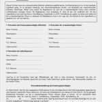 Einverständniserklärung Dsgvo Vorlage Erstaunlich Schön formular Für Die Einverständniserklärung Der Eltern