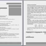 Einverständniserklärung Dsgvo Vorlage Inspiration Einverständniserklärung Patientendaten Muster Einverst