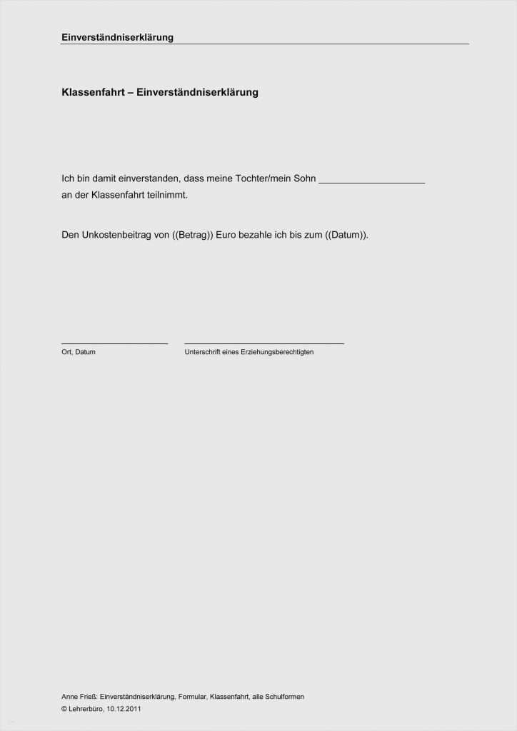 Einverständniserklärung Interview Vorlage Genial Vorlage