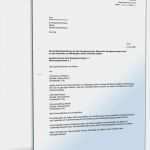 Einverständniserklärung Interview Vorlage Großartig Einverständniserklärung Herausgabe Verbrauchsdaten