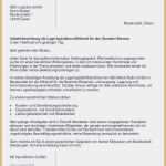 Einzelhandel Bewerbung Vorlage Cool 15 Bewerbung Einzelhandel Ausbildung Vorlage