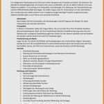 Einzelunternehmen Rechnung Vorlage Angenehm Nett Business Plan Vorlage Erstellen Bilder Entry Level