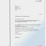 Einzugsermächtigung Widerrufen Vorlage Einzigartig Kündigung Haftpflichtversicherung Muster Vorlage Zum