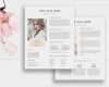 Electronic Press Kit Vorlage Erstaunlich Media Kit Template 2 Page Blogger Media Kit Media Press Kit
