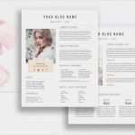 Electronic Press Kit Vorlage Erstaunlich Media Kit Template 2 Page Blogger Media Kit Media Press Kit