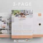 Electronic Press Kit Vorlage Erstaunlich Three Page Media Kit Template Press Kit Template by