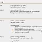 Elektriker Angebot Vorlage Schön 15 Lebenslauf Elektriker