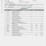 Elektro Prüfprotokoll Vorlage Erstaunlich Dguv V3 Bgv A3 Prüfprotokoll & Dokumentation