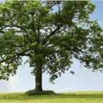 Elektronischer Rechnungsversand Vorlage Gut Leserservice Elektronischer Rechnungsversand