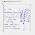 Elfchen Herbst Vorlage Hübsch Bunt Sind Schon Wälder − Ein Projekt Rund Um Den Herbst