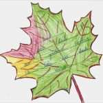 Elfchen Herbst Vorlage Schön Herbst Elfchen – Didro – Gs An Der Droste Hülshoff Straße 9