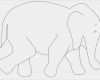 Elmar Elefant Vorlage Neu 1000 Ideen Zu Elefanten Vorlage Auf Pinterest