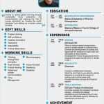 Elon Musk Lebenslauf Vorlage Beste Die Besten 25 Elon Musk Cv Ideen Auf Pinterest